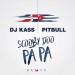 Free Download lagu DJ KASS FT PITBULL - SCOOBY DOO PA PA REMIX terbaik