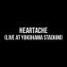 Download musik ONE OK ROCK - Heartache (Accoustic) Live at Yokohama Stadium terbaru
