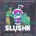 Download mp3 Porter Robinson & Madeon - Shelter (Slushii Remix) baru - zLagu.Net