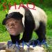 Download lagu mp3 Big Shaq - Panda free