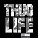 2Pac, THUG LIFE - Cradle 2 The Grave (Original Version) Music Gratis