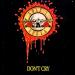 Download Don't Cry - Gun N' Roses (ACOUSTIC) mp3 Terbaik