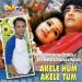 Download mp3 lagu Dil Mera Churaya Kyun | Akele Hum Akele Tum | Aarun Shah Cover baru - zLagu.Net