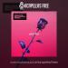 David Guetta, Martin Garrix & Brooks - Like I Do (Acapella) [Free Download Full] Lagu Terbaik
