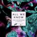 Gudang lagu The Chainsmokers - All We Know (pluko & LZRD Remix)