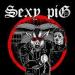 Lagu mp3 Sexy Pig - Police Story baru
