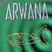 Download musik Arwana__Kunanti terbaik