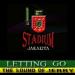 Download lagu mp3 LETTING GO stadium jakarta terbaru