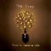 Free Download lagu The Fray - How To Save A Life (Project 46 Remix) gratis
