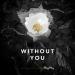 Lagu Avicii | Without You terbaru
