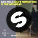 Download mp3 lagu San Holo - Can't Forget You (ft. The Nicholas) baru - zLagu.Net