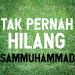 Download lagu mp3 Tak Pernah Hilang - Amylea ft Kaer Cover By Sam Muhammad free