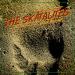 Download lagu The Skatalites - Desert Ska [2013] mp3 Gratis