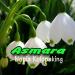 Download mp3 Asmara music baru