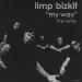 Download mp3 Limp Bizkit - My Way ( Hadiction Remix ) gratis