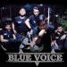 Download mp3 BLUE VOICE - TRAGEDI BOOMERANG (COVER) music Terbaru - zLagu.Net
