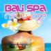 Download mp3 lagu Bali Spa Music di zLagu.Net