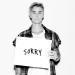 Download lagu mp3 Rizky Febian - Sorry (Justin Bieber Cover) free