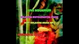 Download Lagu Live aquarium with relaxing instrumental ic - ik Rileksasi Music - zLagu.Net