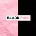 Download lagu gratis DUDUDU - BLACKPINK - BREAKBEATMINIMIX 2018 - DJ-MIAMBER mp3