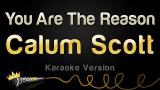Download Lagu Calum Scott - You Are The Reason (Karaoke Version) Music