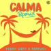 Download lagu Pedro Capó x Farruko – Calma (Remix) mp3