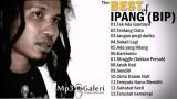 Lagu Video IPANG (BIP) - Full Album | Lagu Indonesia 2000an Terbaik Terbaik di zLagu.Net