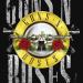 Lagu terbaru Paradise City Guns N Roses mp3 Gratis