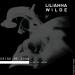 Gudang lagu Lilianna Wilde ~ Grind Me Down (Jawster Remix) mp3 gratis