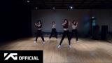 Download Lagu BLACKPINK - '뚜두뚜두 (DDU-DU DDU-DU)' DANCE PRACTICE VIDEO (MOVING VER.) Music - zLagu.Net