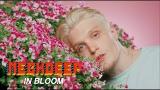 Download video Lagu Neck Deep - In Bloom (Official ic eo) Gratis