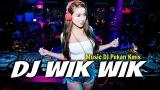 Download Video Lagu DJ VIRAL WIK WIK Ahh Ahh Thailand REMIX 2018 LAGU TIK TOK TERBARU REMIX ORIGINAL 2018 MANTAP JIWA Music Terbaru di zLagu.Net