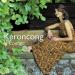 Download lagu Keroncong In Lounge - Oh! Carol mp3 gratis