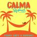 Download mp3 Pedro Capo Ft. Farruko - Calma (Remix) gratis