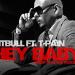 Pitbull ft. T-Pain - Hey Baby (Studio Acapella) FREE DOWNLOAD Musik Terbaik