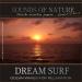 Lagu Dream Surf: Ocean Waves for Relaxation (Sounds of Nature) terbaru 2021