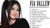 Download Vidio Lagu Via Vallen - Lagu Dangdut Koplo Terbaru 2019 ,Selow, Full Album 2019 Terbaik
