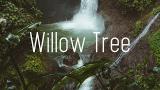 Music Video Rival X Cadmium - Willow Tree (Lyrics) ft. Rosendale di zLagu.Net