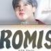 Download mp3 lagu BTS JIMIN Promise terbaru terbaik