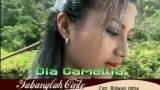 Video Lagu Dia Camellia - Tabanglah Cinto Musik Terbaik