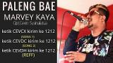 Video Lagu Music PALENG BAE - MARVEY KAYA (Official ic eo) Terbaru di zLagu.Net