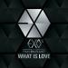 Download lagu mp3 EXO - What Is Love? (English Cover) free
