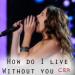Free Download lagu How do i live without you