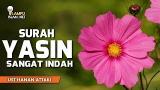 video Lagu Surah Yasin - Ustadz Hanan Attaki, Lc Music Terbaru
