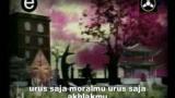 Download Video Maia Setengah Dewa (Iwan Fals) Music Terbaru