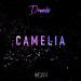 Download lagu Camelia mp3 gratis