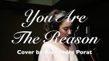 Download Lagu You Are The Reason - Cover by Alexandra Porat with Lyrics Terbaru