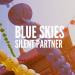 Gudang lagu Blue Skies - Silent Partner 7C YouTube Audio Library free