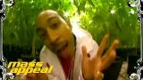 Video Ludacris - Blueberry Yum Yum (Official eo) Terbaik di zLagu.Net