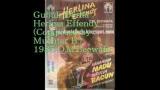 Music Video Gubuk Derita / Herlina Effendy Terbaru - zLagu.Net